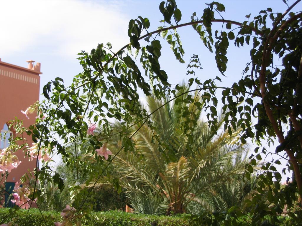 Les Tourmalines Bed & Breakfast Afeggou Dış mekan fotoğraf