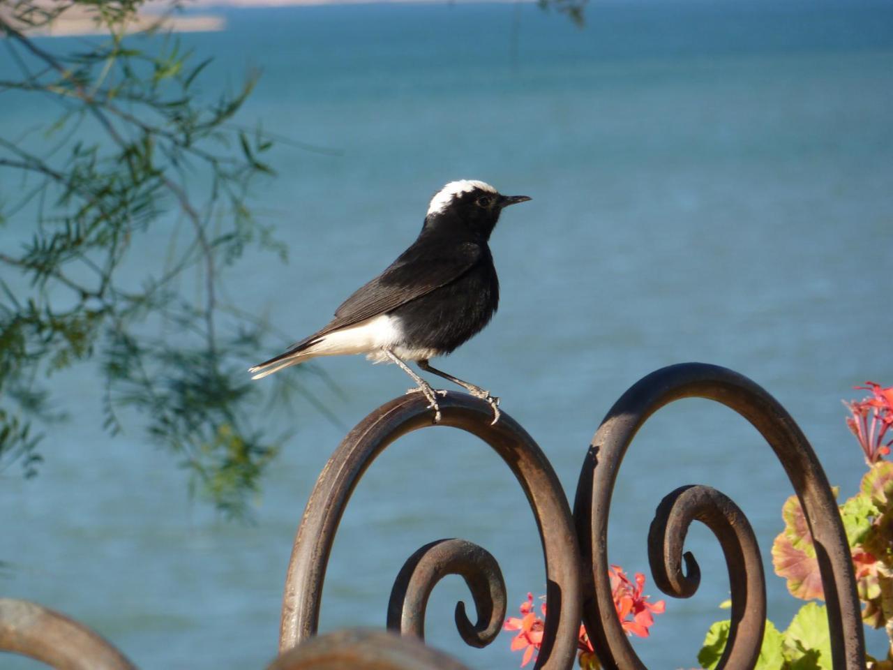 Les Tourmalines Bed & Breakfast Afeggou Dış mekan fotoğraf
